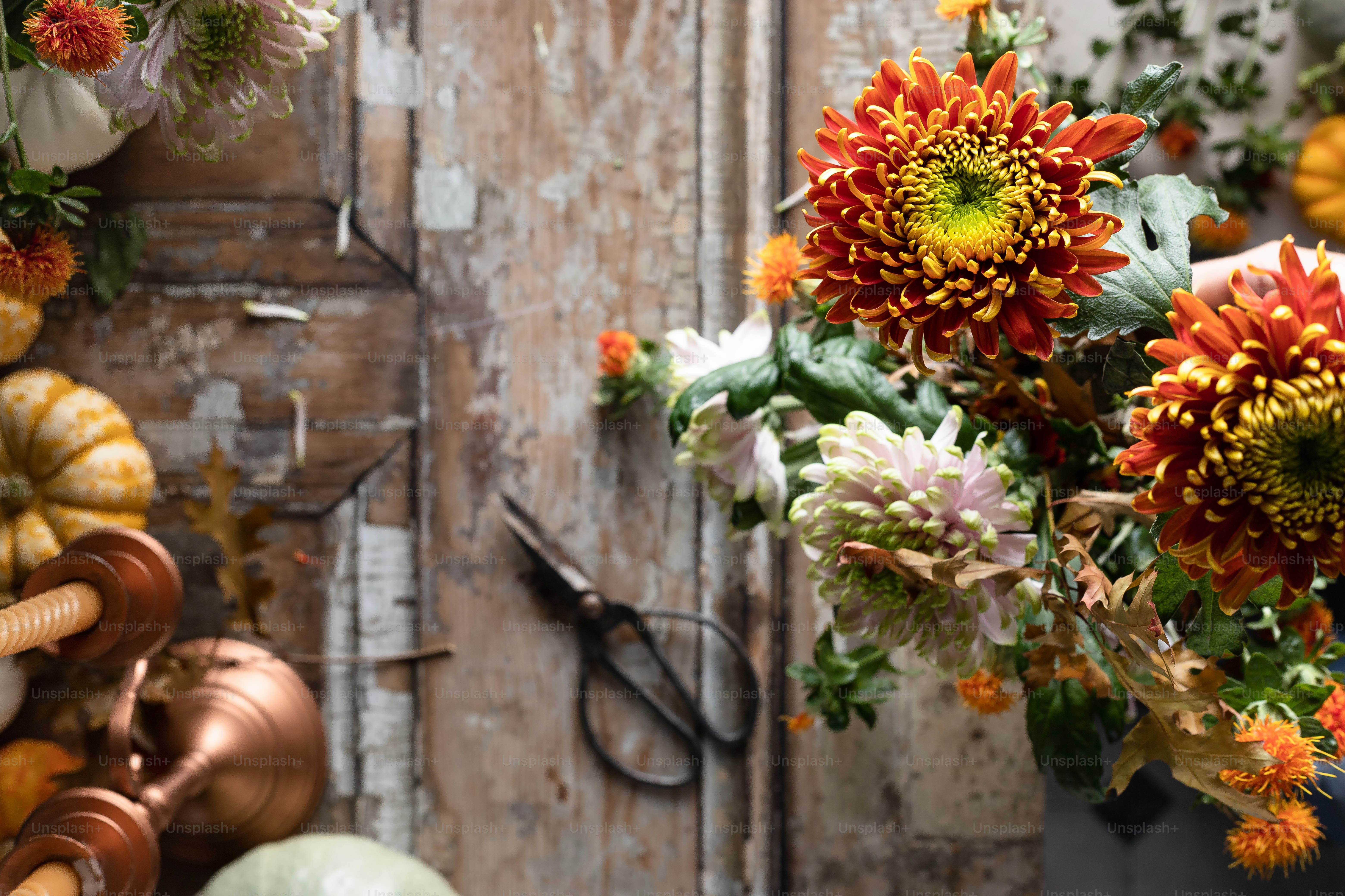 Fall Decoration Pictures | Download Free Images on Unsplash