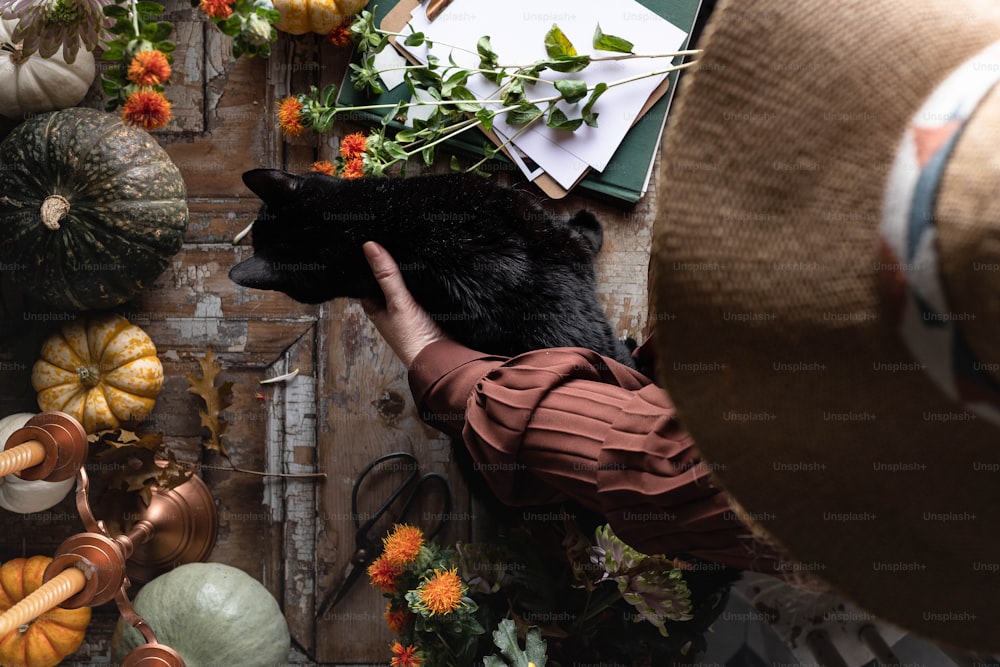 a person holding a black bear over a table filled with pumpkins