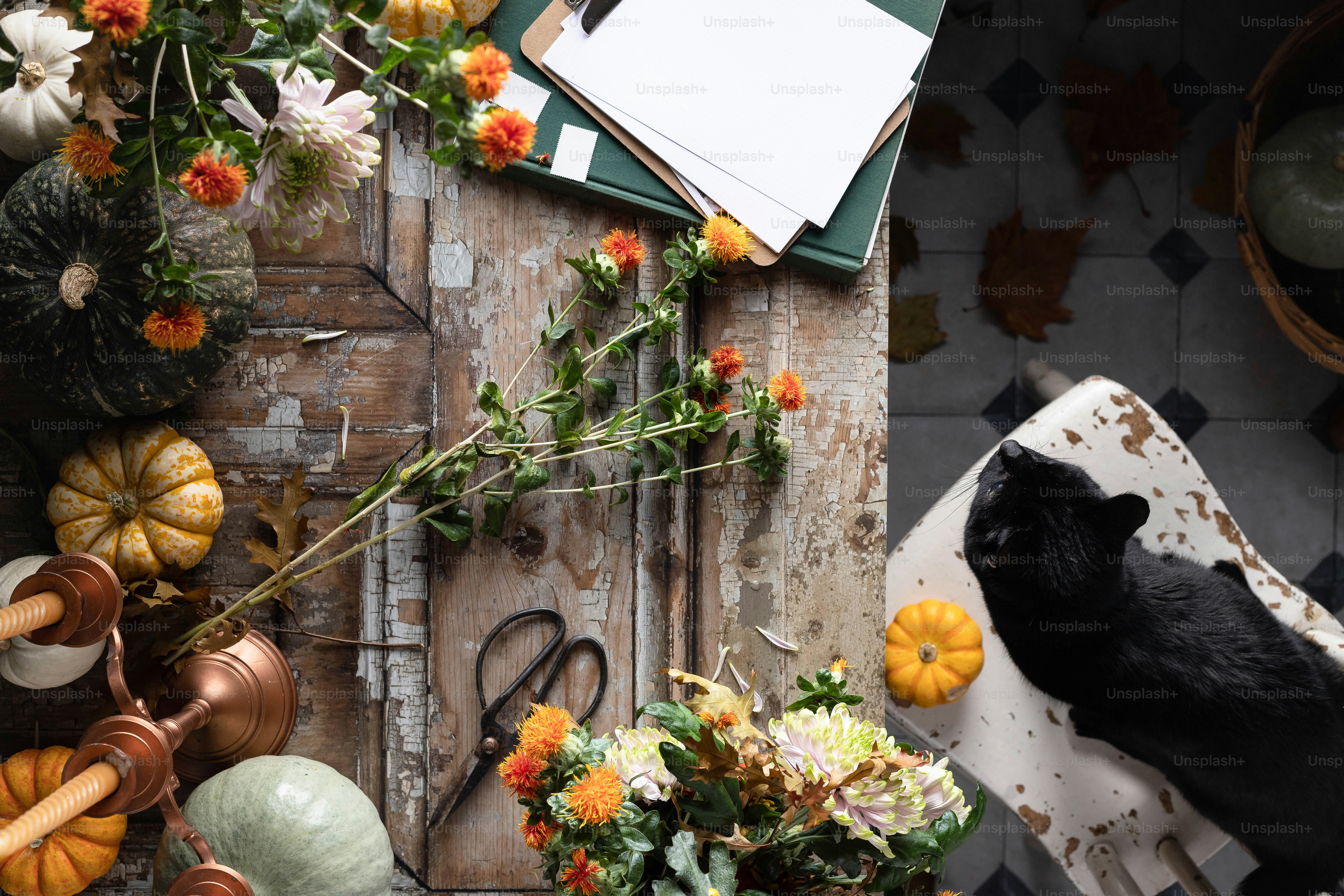 8 Best Time To Visit Germany For Oktoberfest Fun