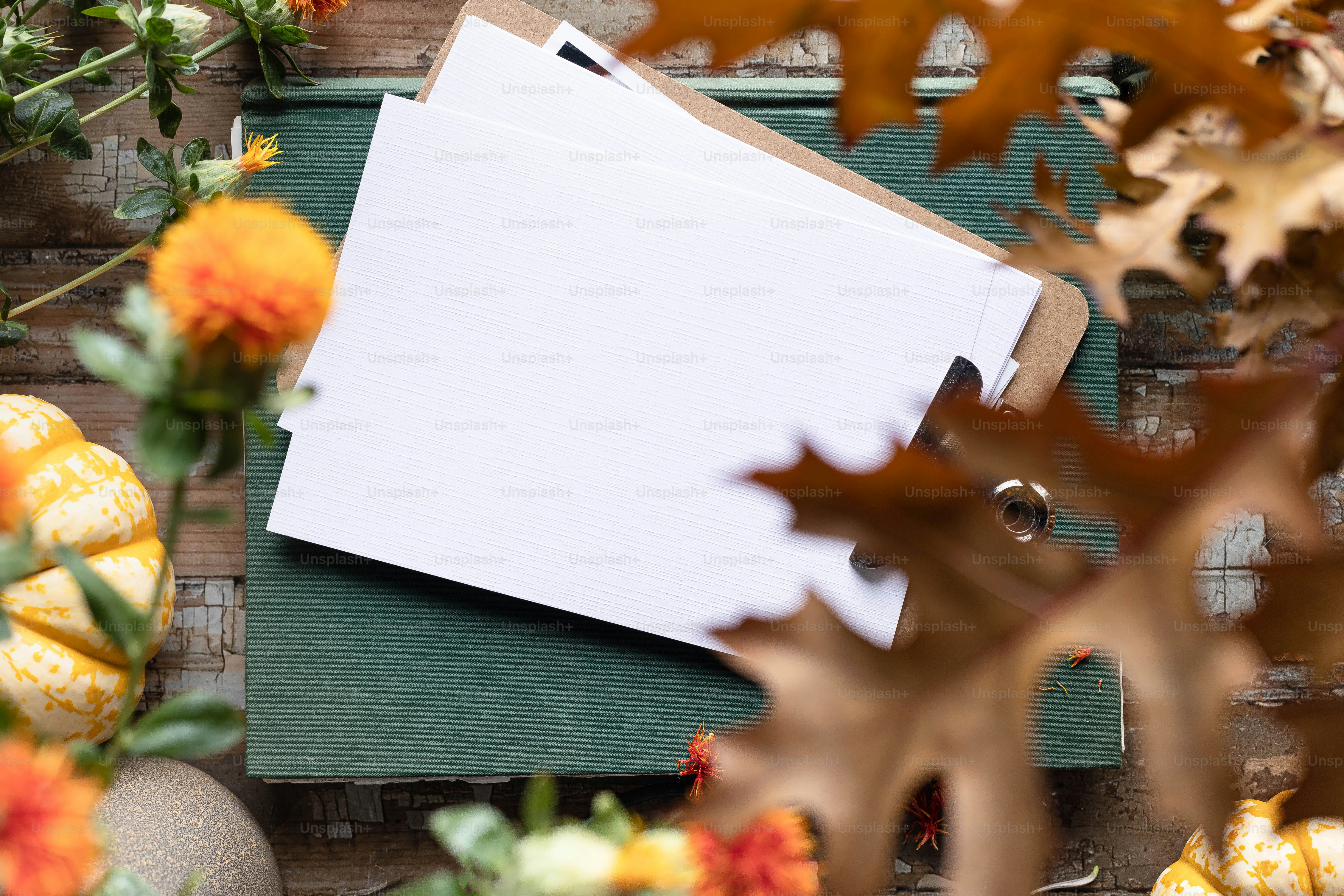 a notepad sitting on top of a binder surrounded by fall leaves