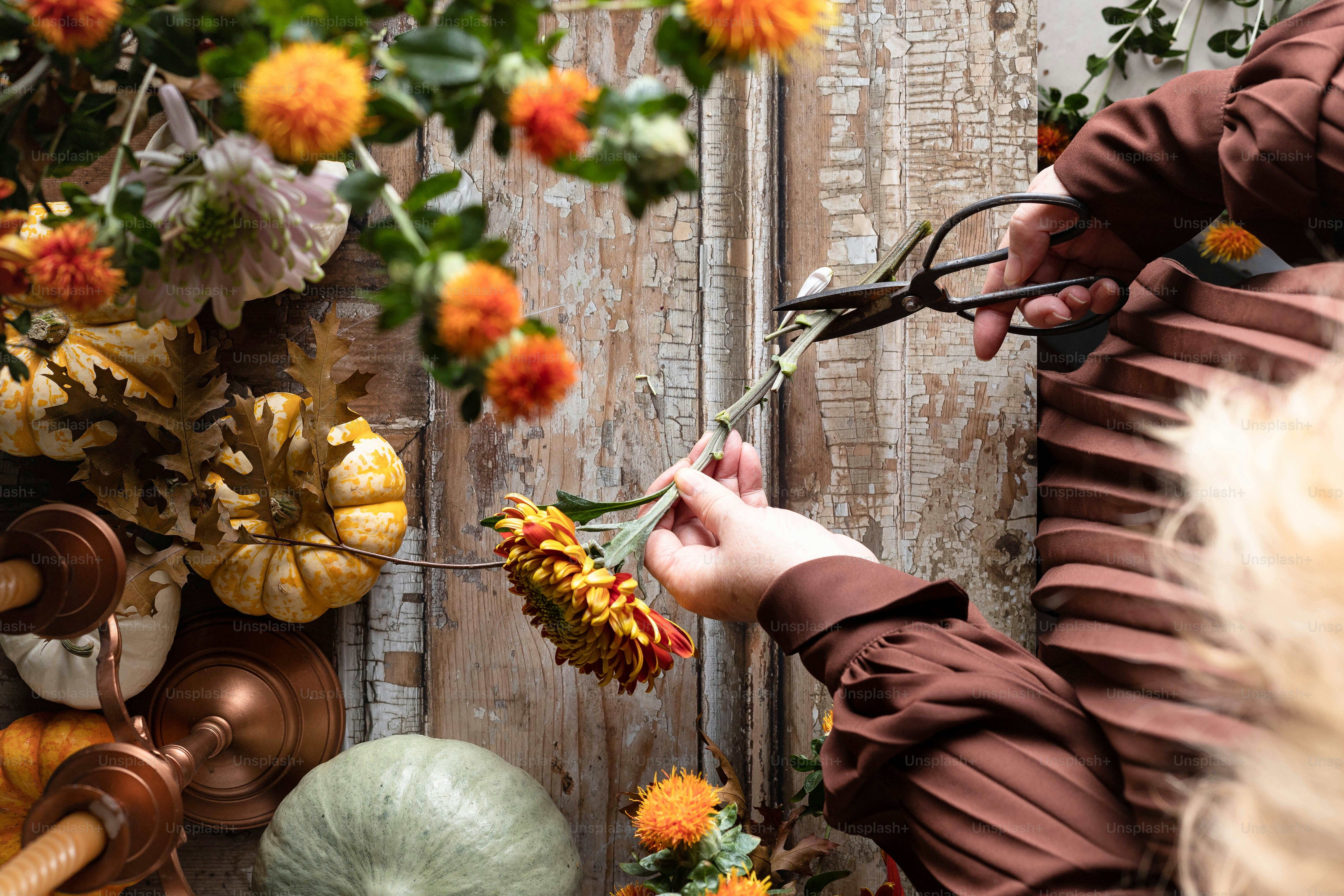 a person cutting flowers with a pair of scissors