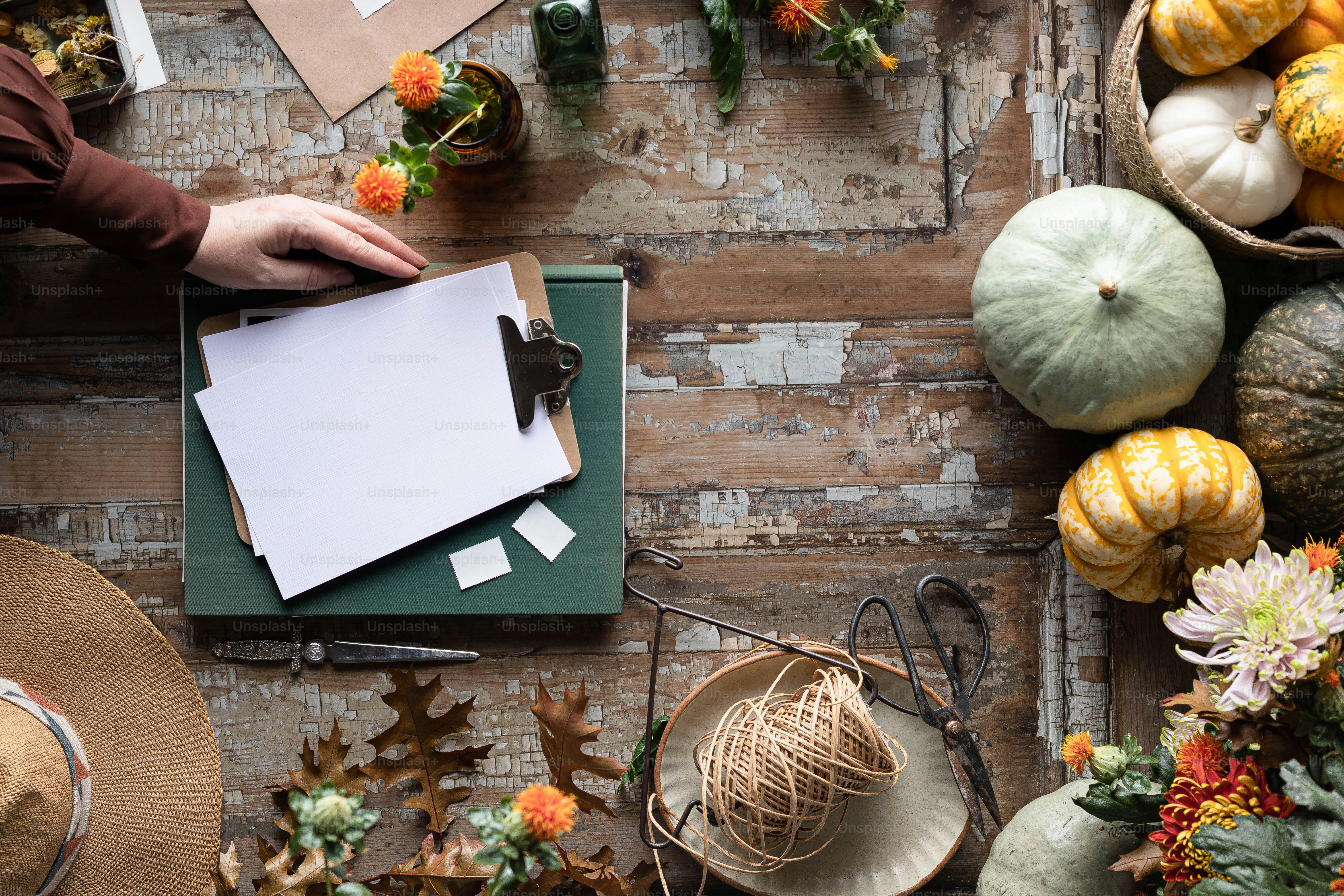 a table topped with lots of different types of pumpkins