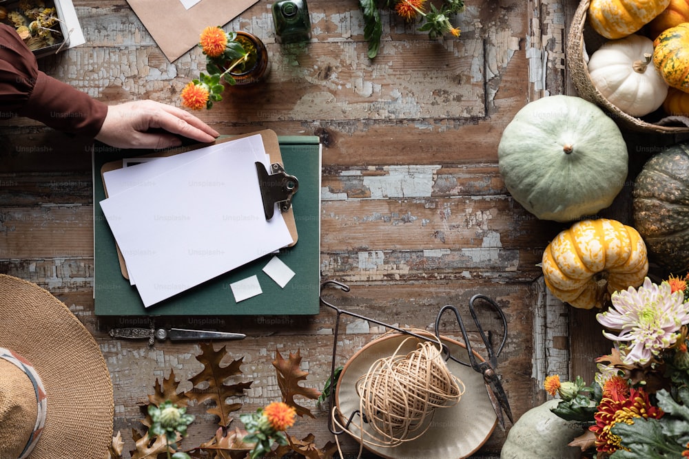 a table topped with lots of different types of pumpkins