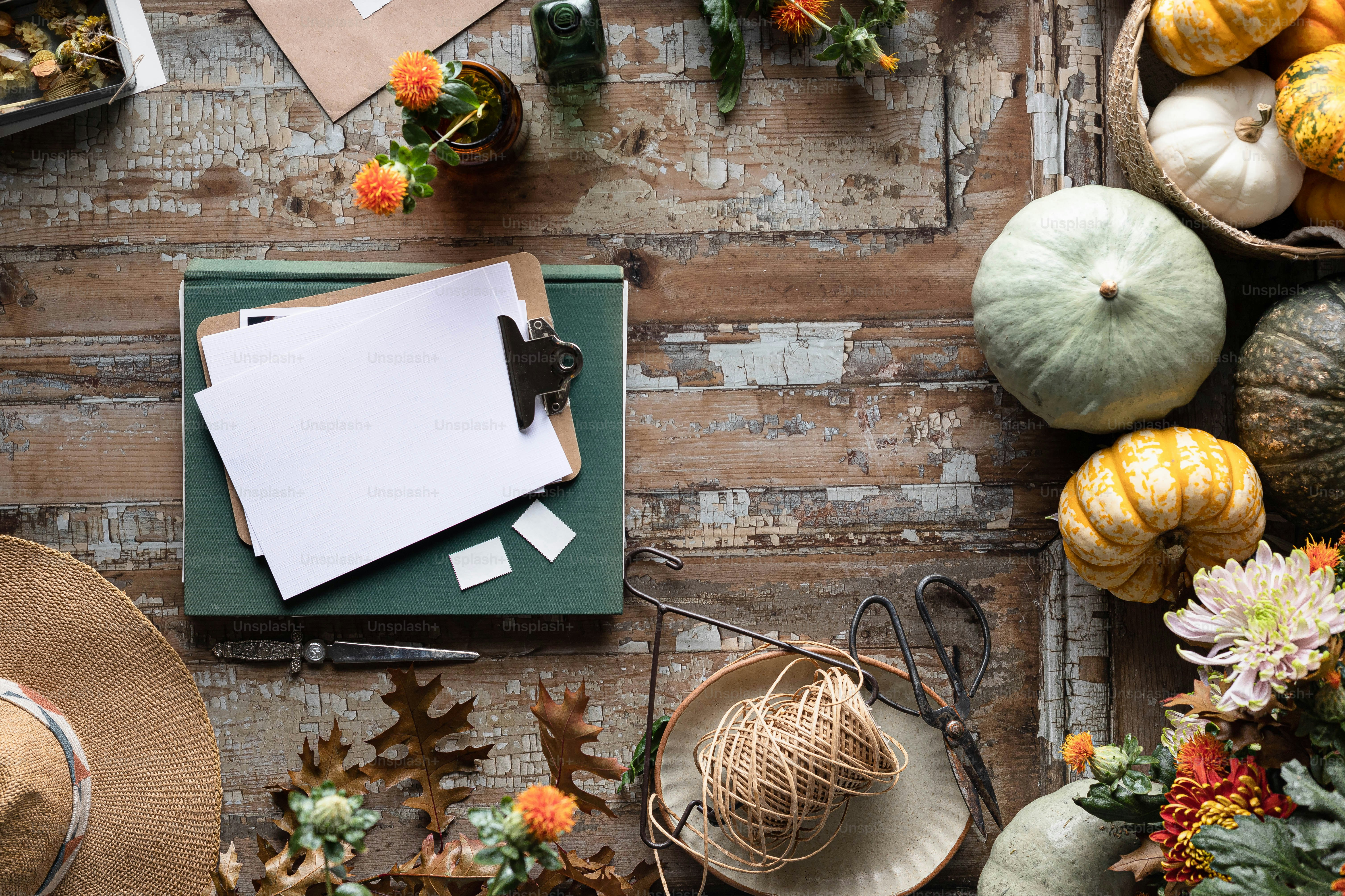 다양한 종류의 호박을 얹은 테이블