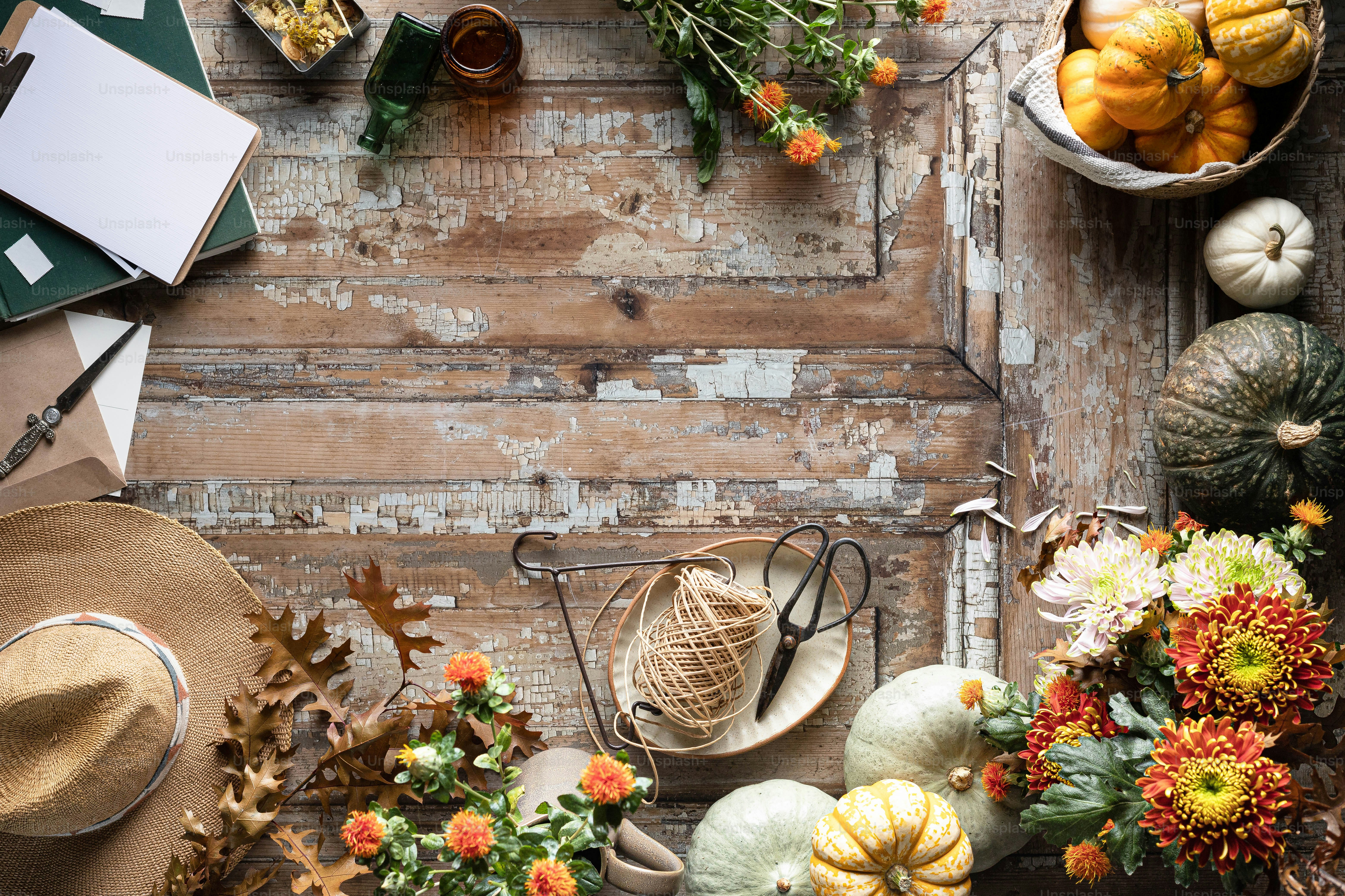 a table topped with lots of different types of pumpkins