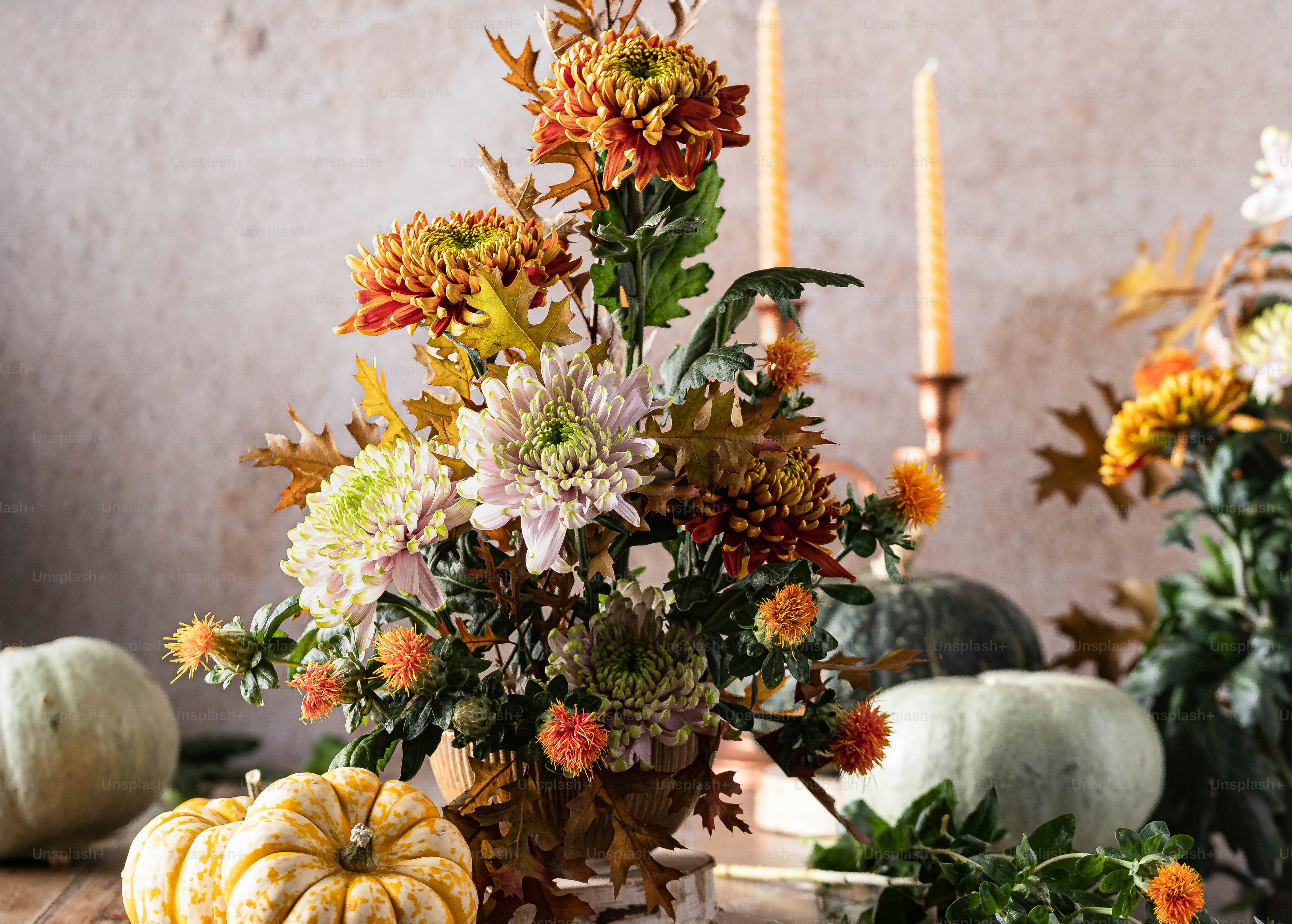 November Flower Pictures | Download Free Images on Unsplash