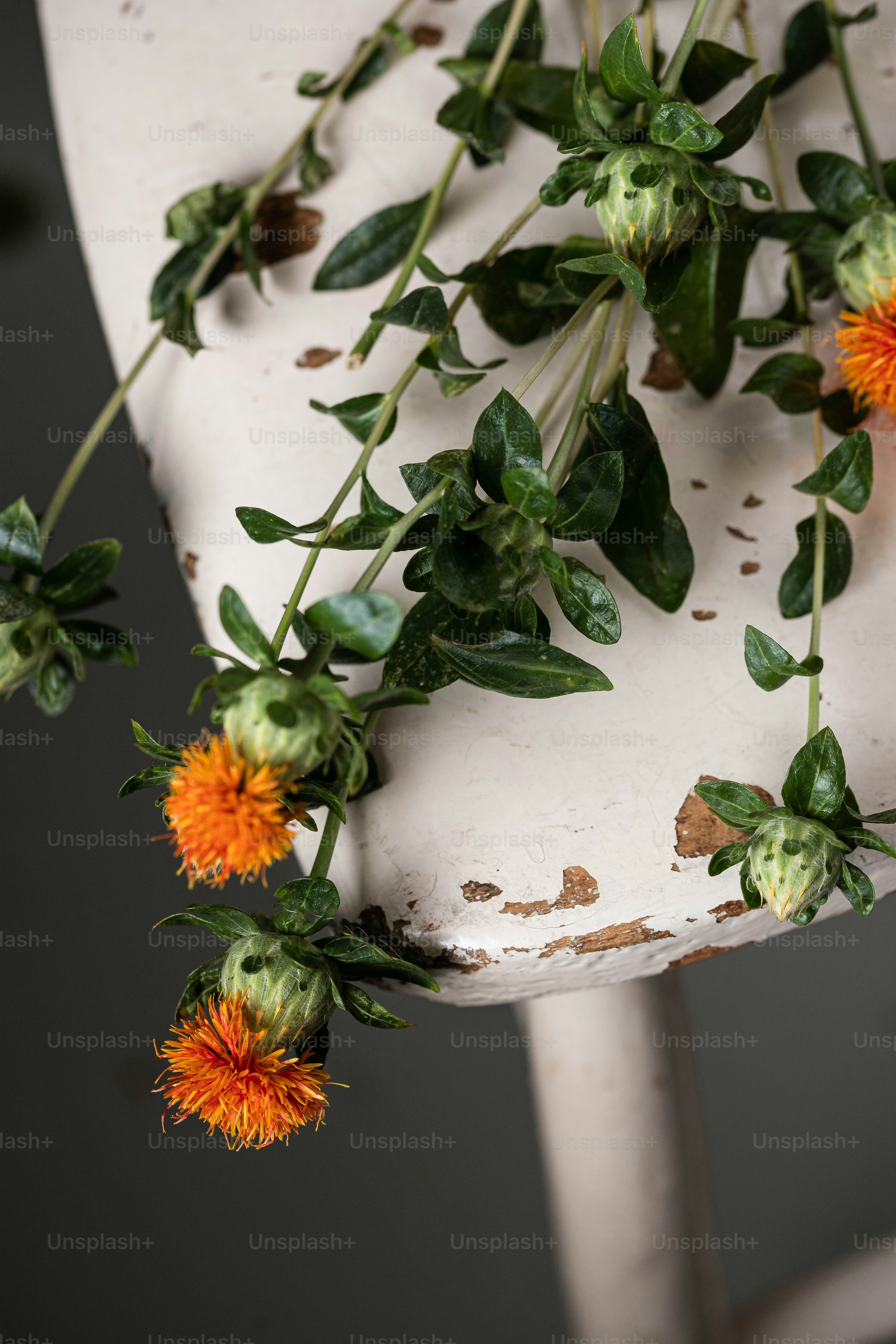 A bunch of flowers that are sitting on a chair photo – Flower
