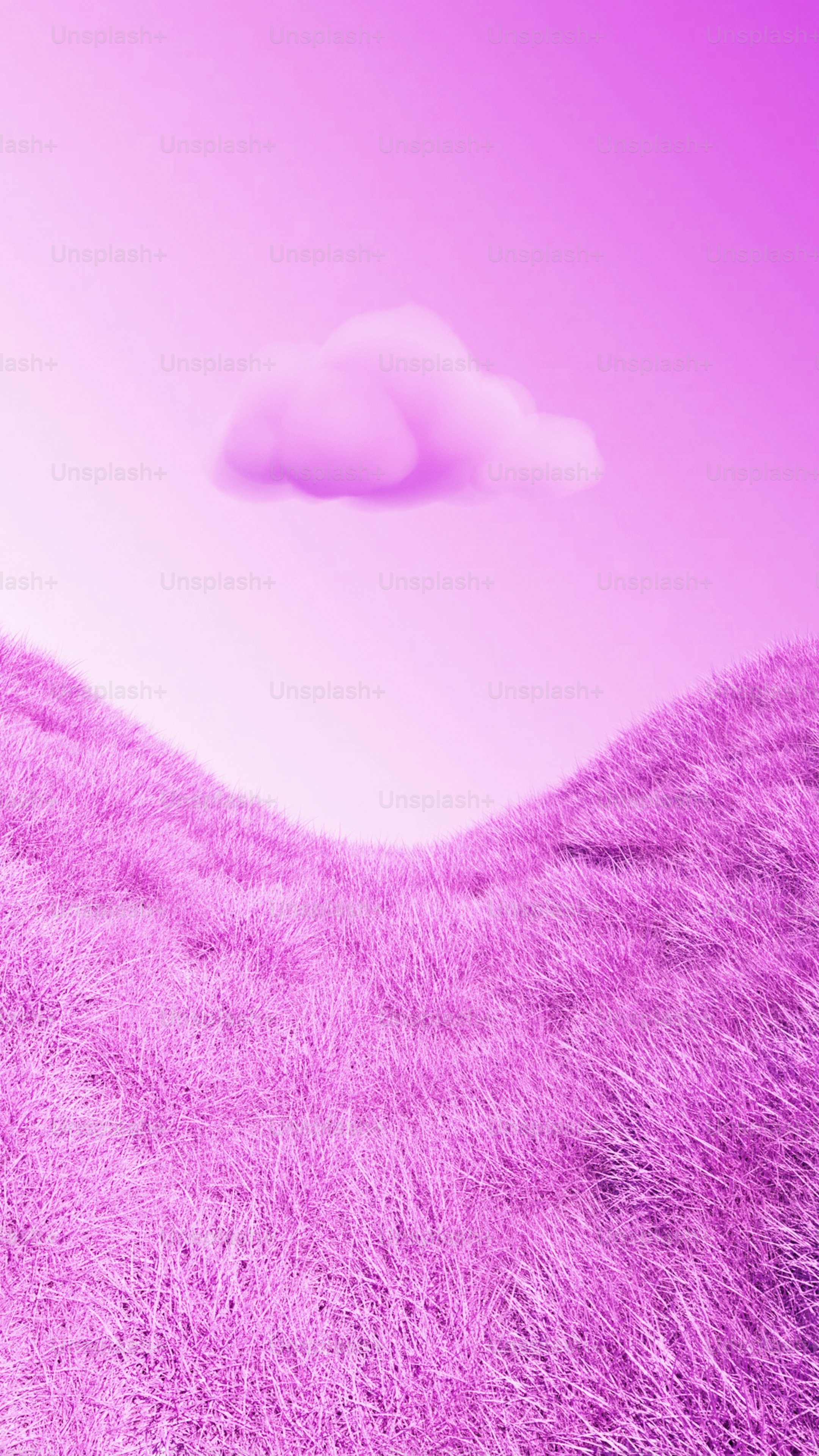 A pink background with a white cloud in the middle photo – Wallpaper Image  on Unsplash, image size:3000x5333