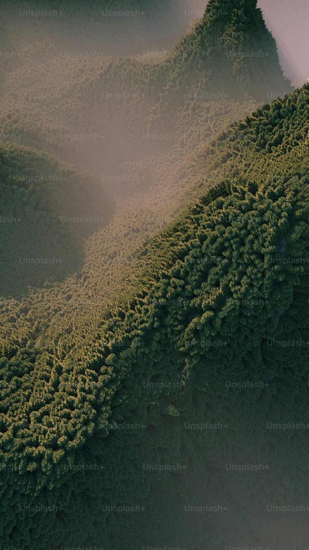 a bird's eye view of a lush green hillside