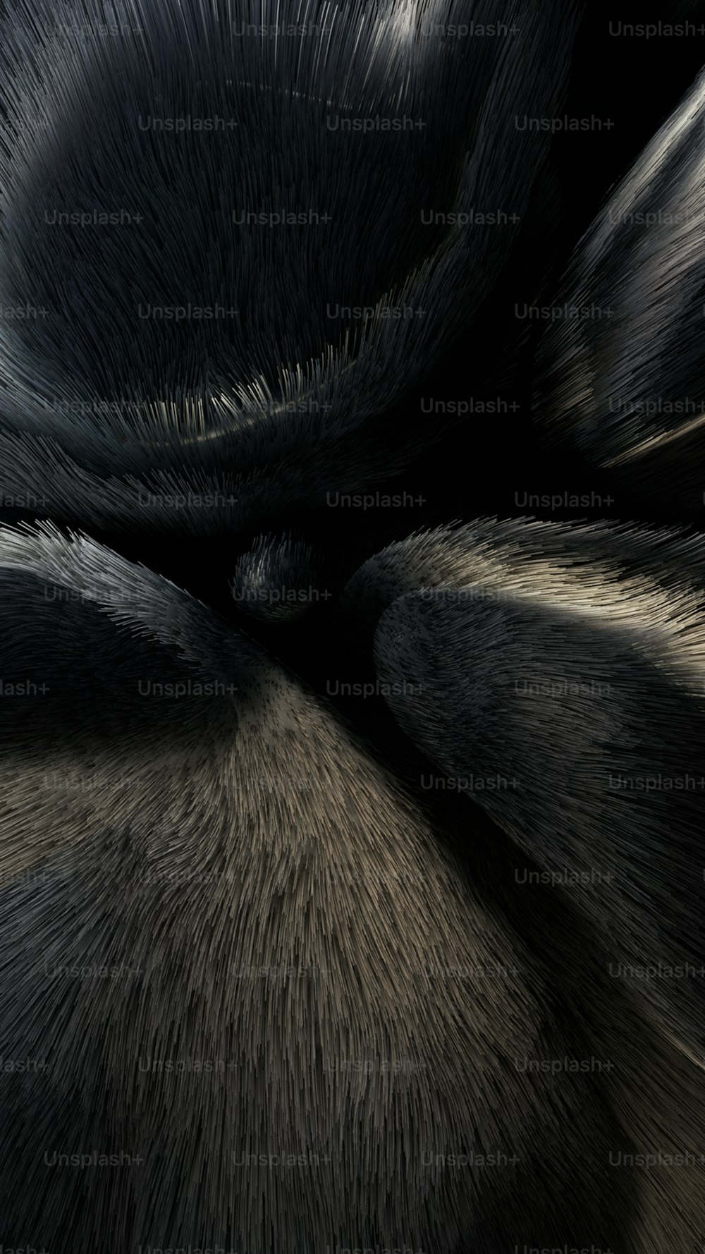 a close up of a black and white animal fur