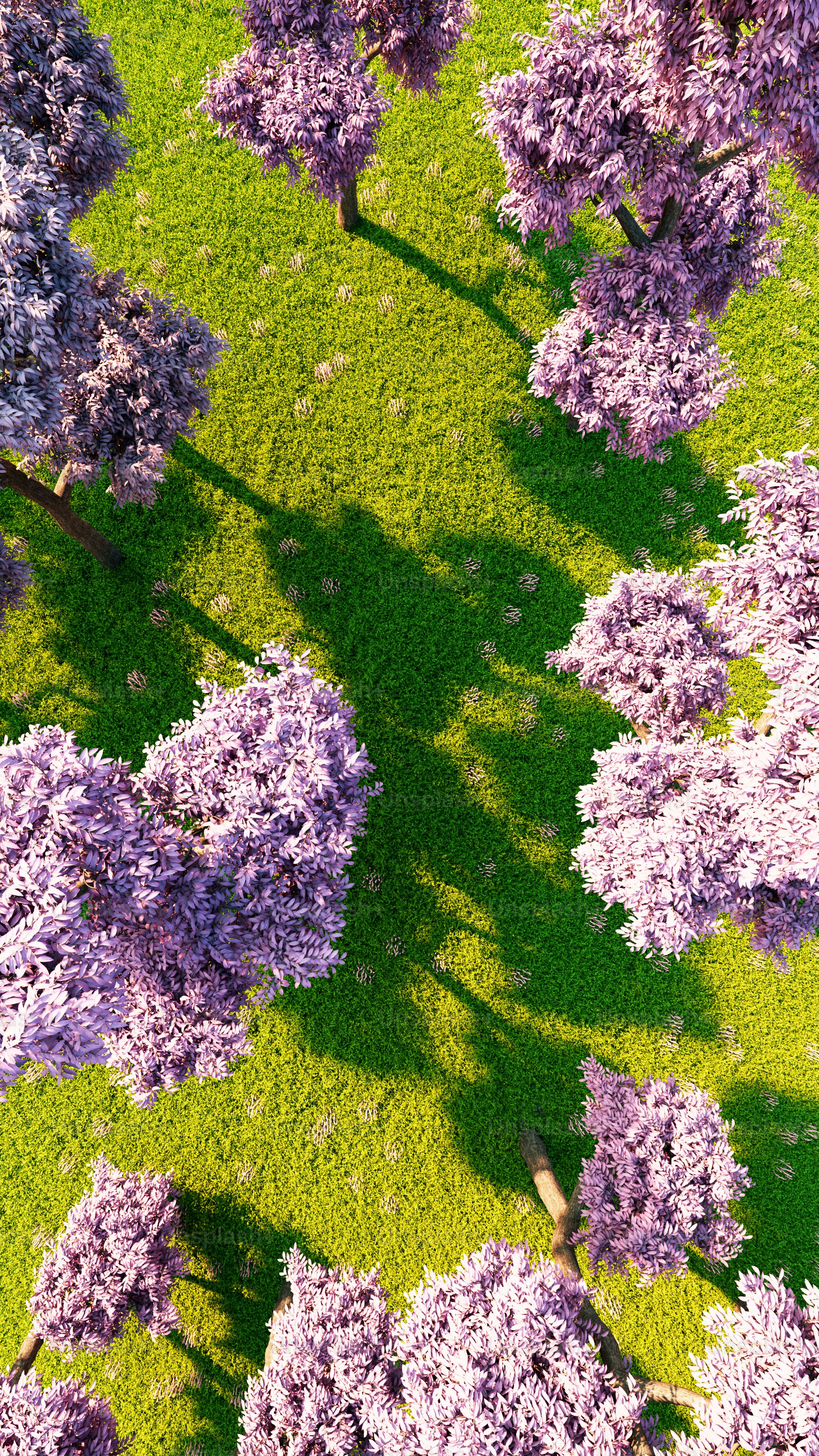 Una vista aérea de un campo con árboles en flor