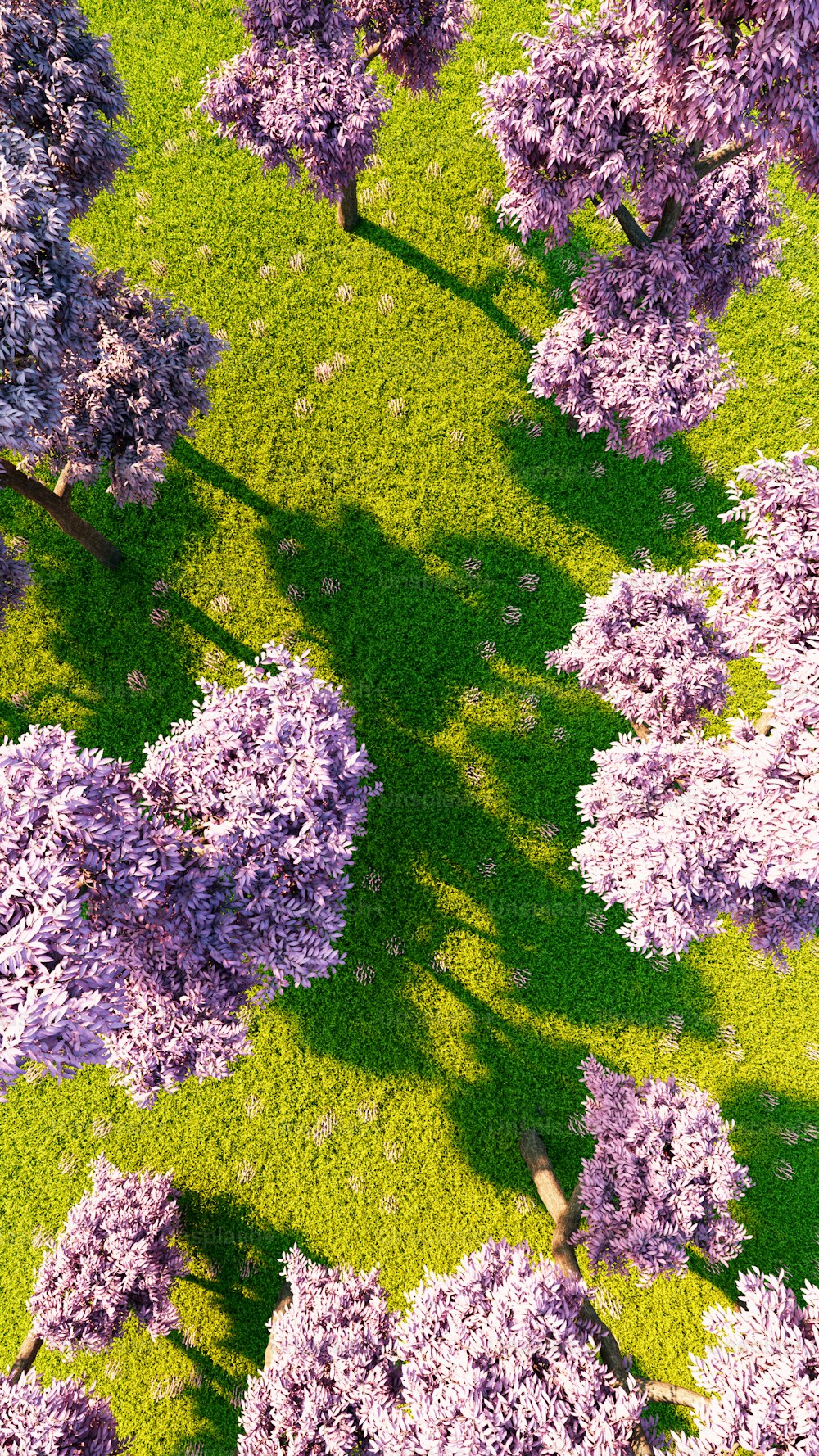 an aerial view of a field with trees in bloom