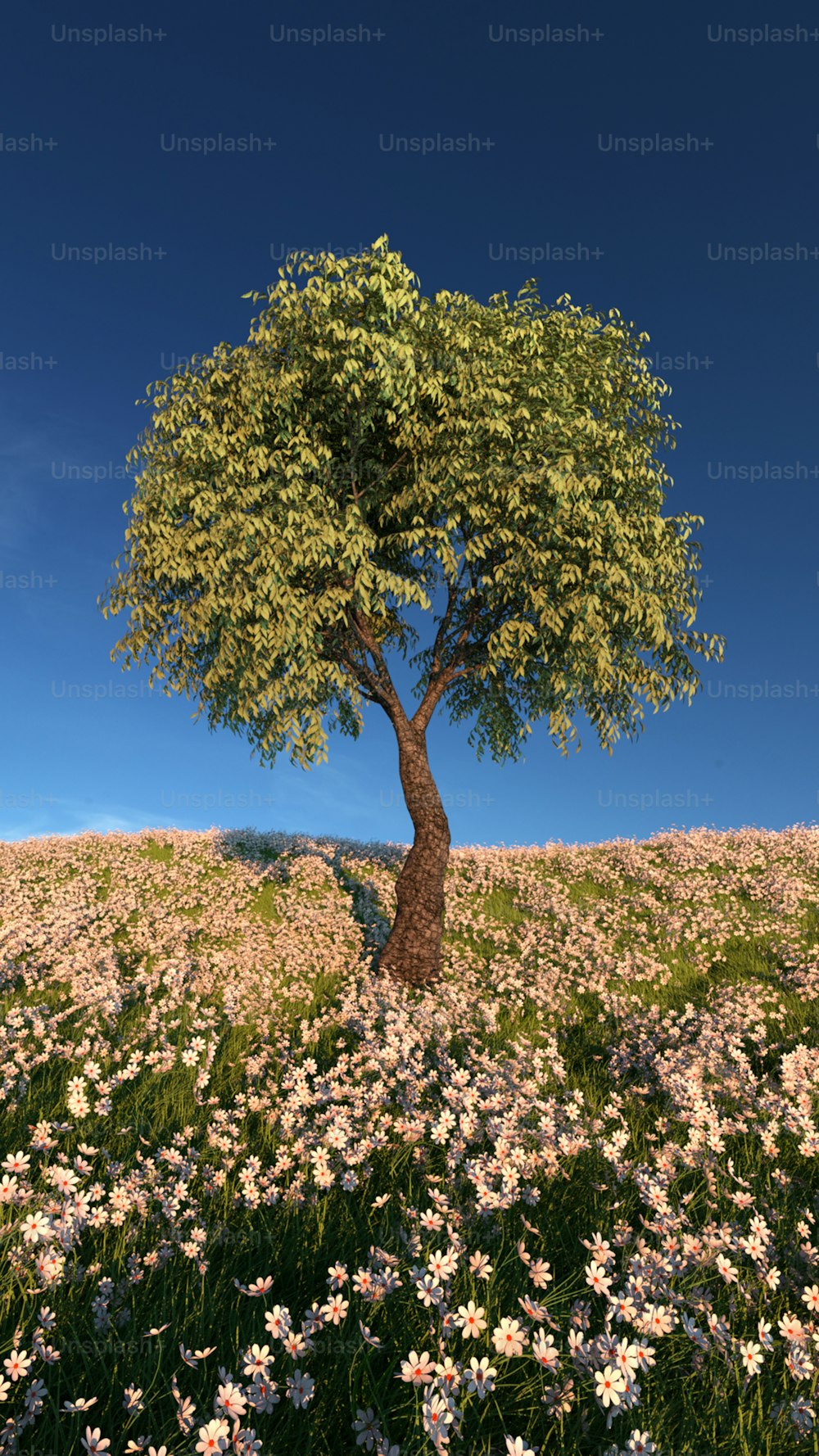 Un árbol en un campo de flores bajo un cielo azul