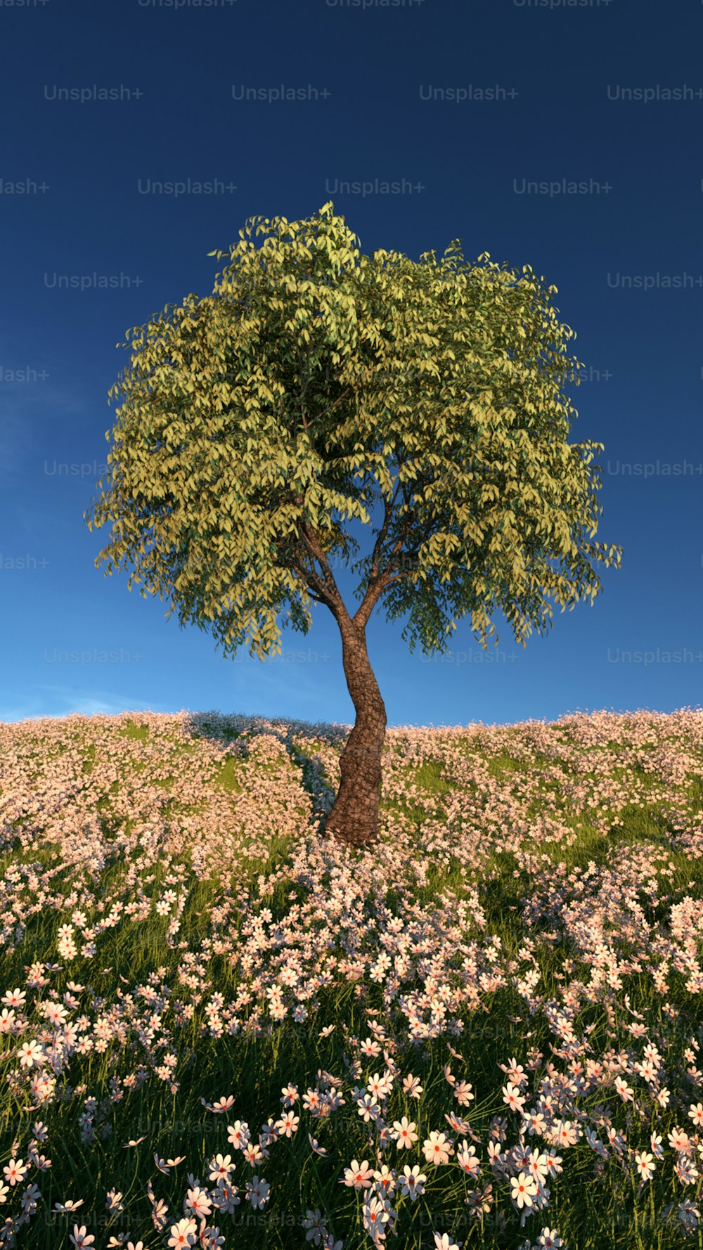 a tree in a field of flowers under a blue sky
