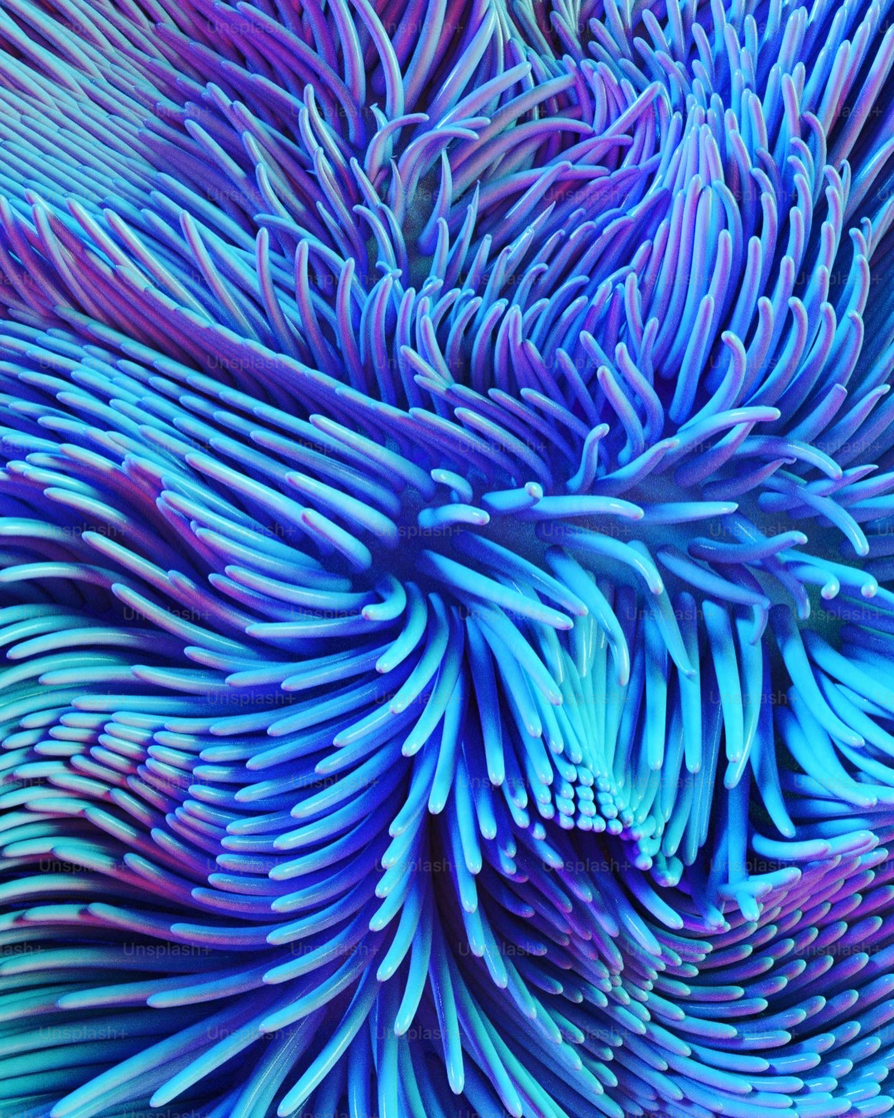 Un primer plano de una flor azul y púrpura