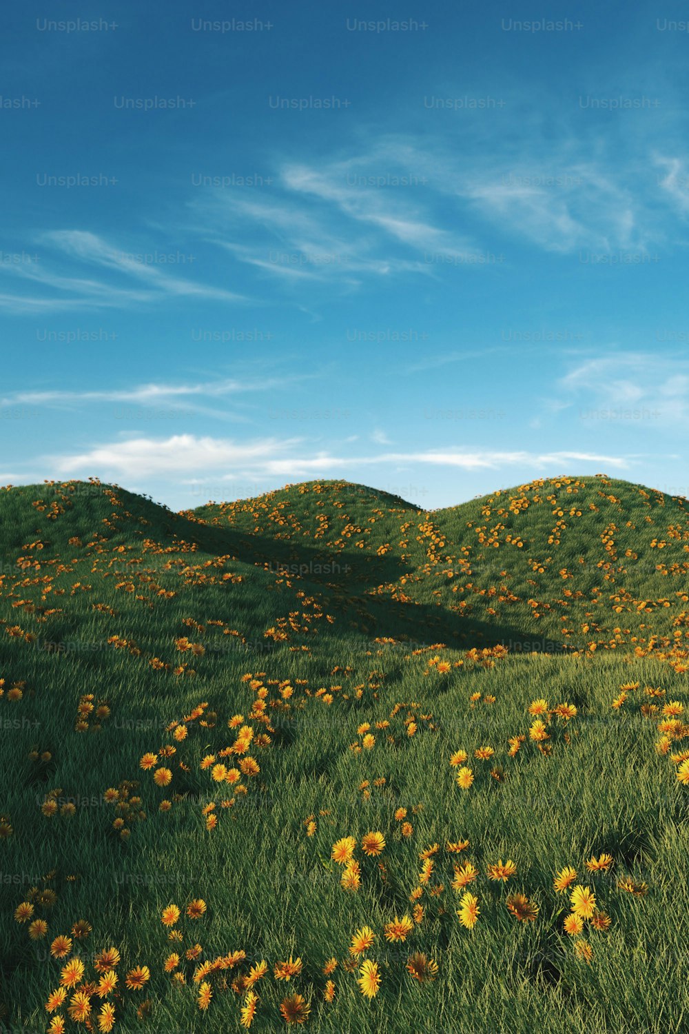 a field of yellow flowers with a blue sky in the background