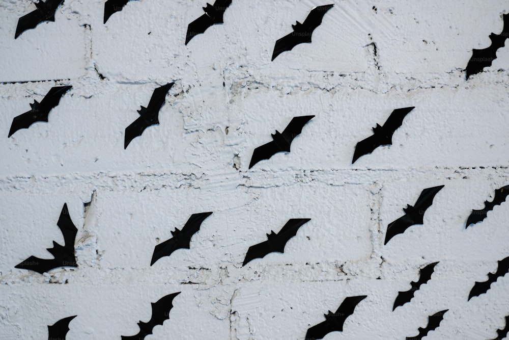 un mur de briques blanches avec des chauves-souris noires dessus