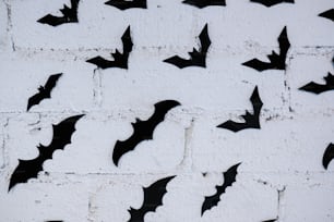 Un montón de murciélagos que están en una pared