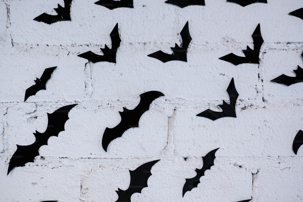 un mucchio di pipistrelli che sono su un muro