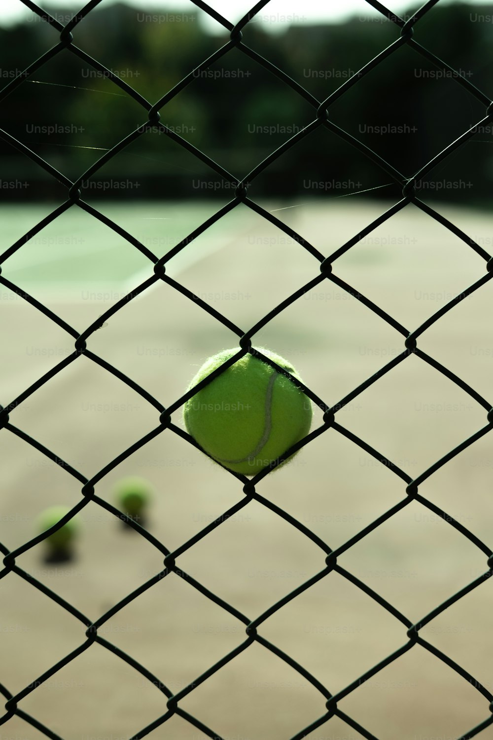 테니스 코트 위에 앉아 있는 테니스 공