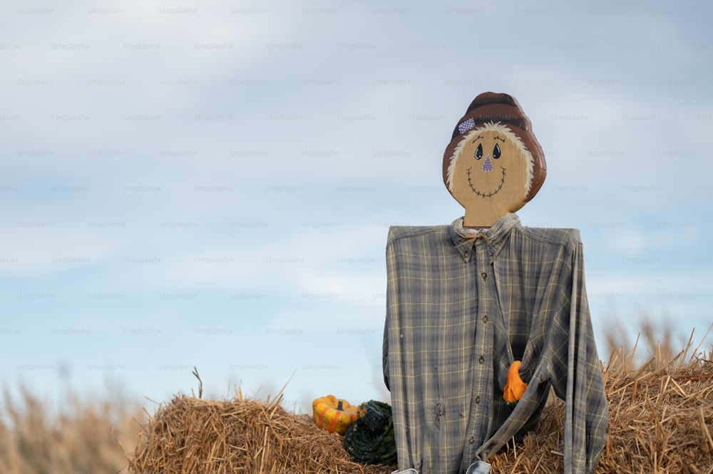 a scarecrow sitting on top of a pile of hay