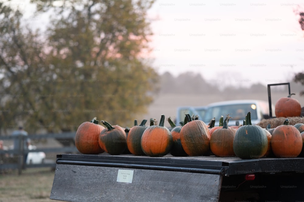 a truck bed filled with lots of pumpkins