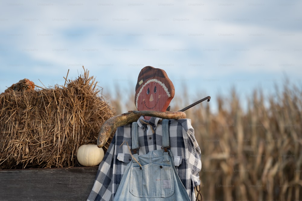 a scarecrow holding a stick in front of a field of corn