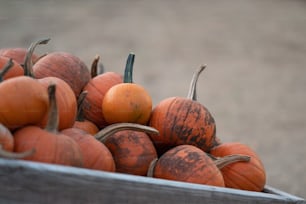 a bunch of pumpkins sitting in a wooden container