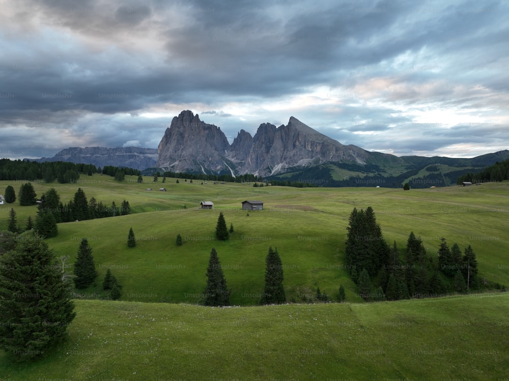 Un campo verde con le montagne sullo sfondo