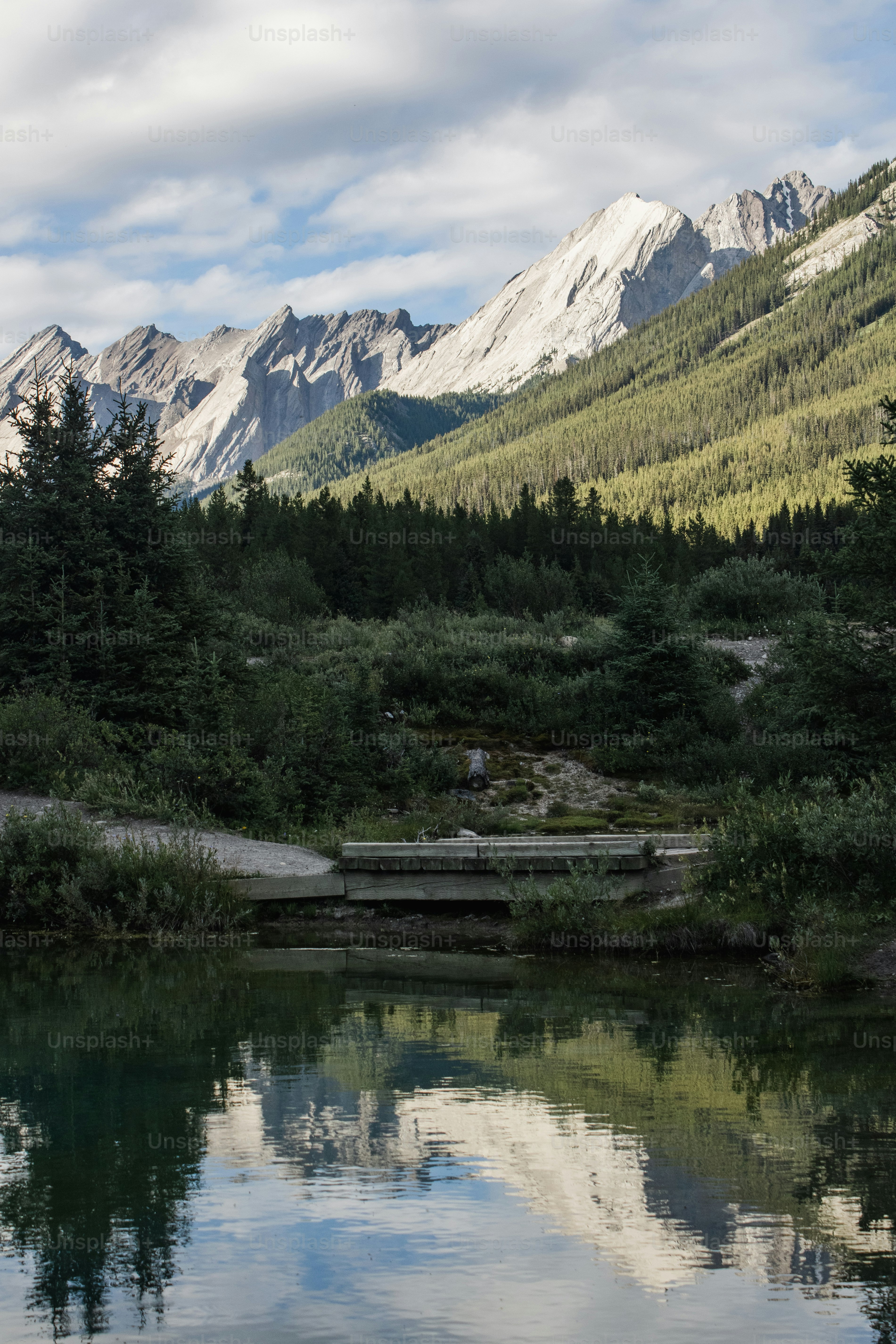 Rockies at Astros prediction: Odds, expert picks, starting pitchers, betting trends, and stats for August 28
