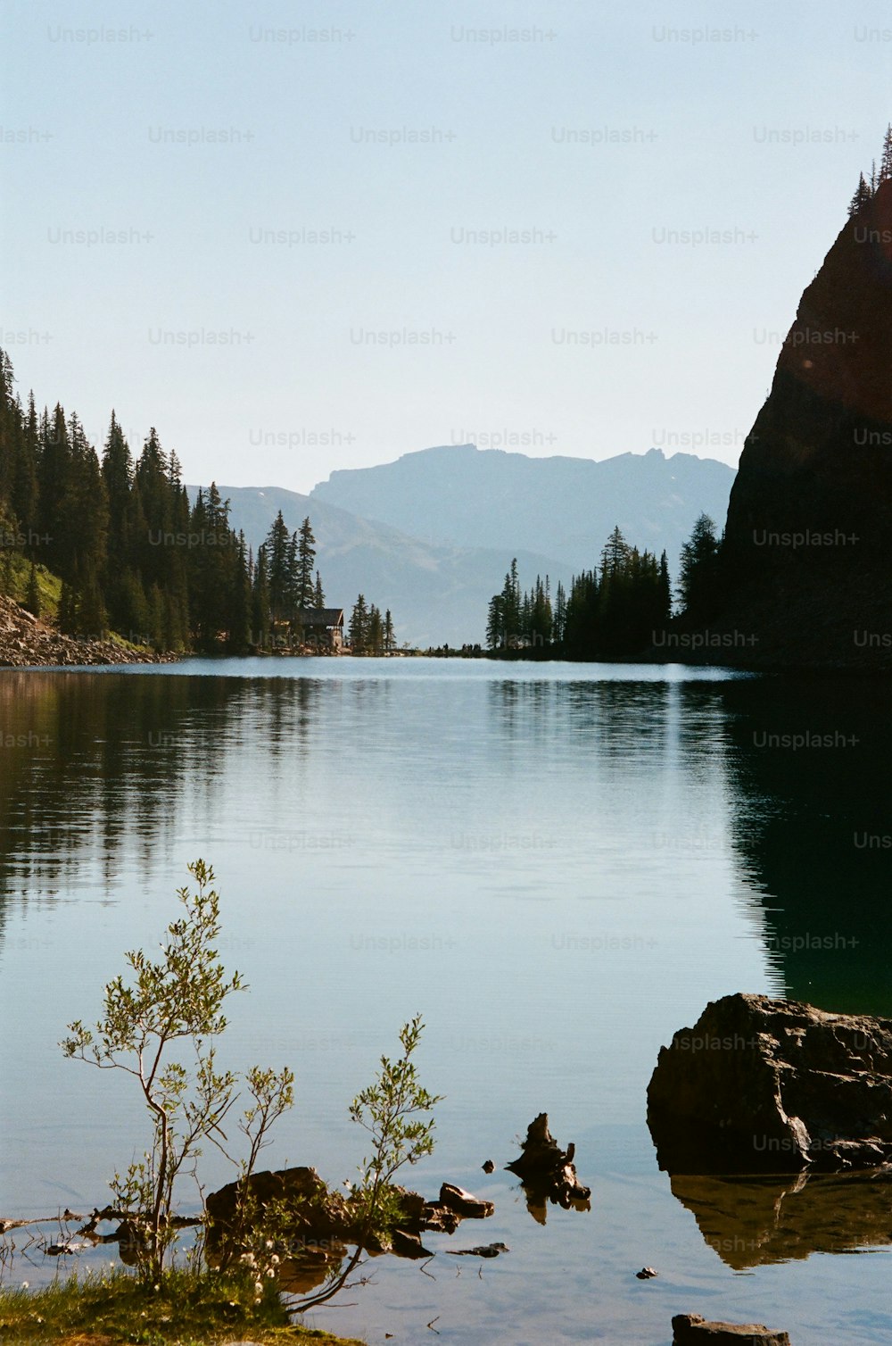 a body of water surrounded by mountains and trees