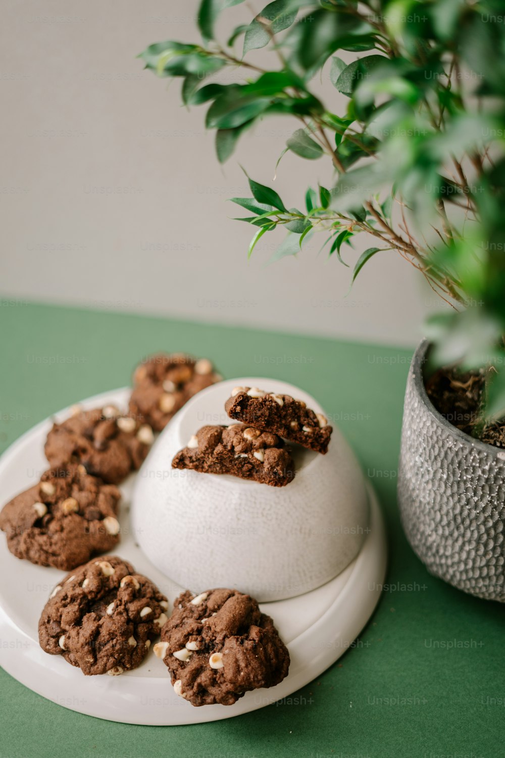 um prato branco coberto com biscoitos ao lado de um vaso de planta