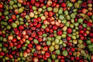 a bunch of fruit that is laying on the ground