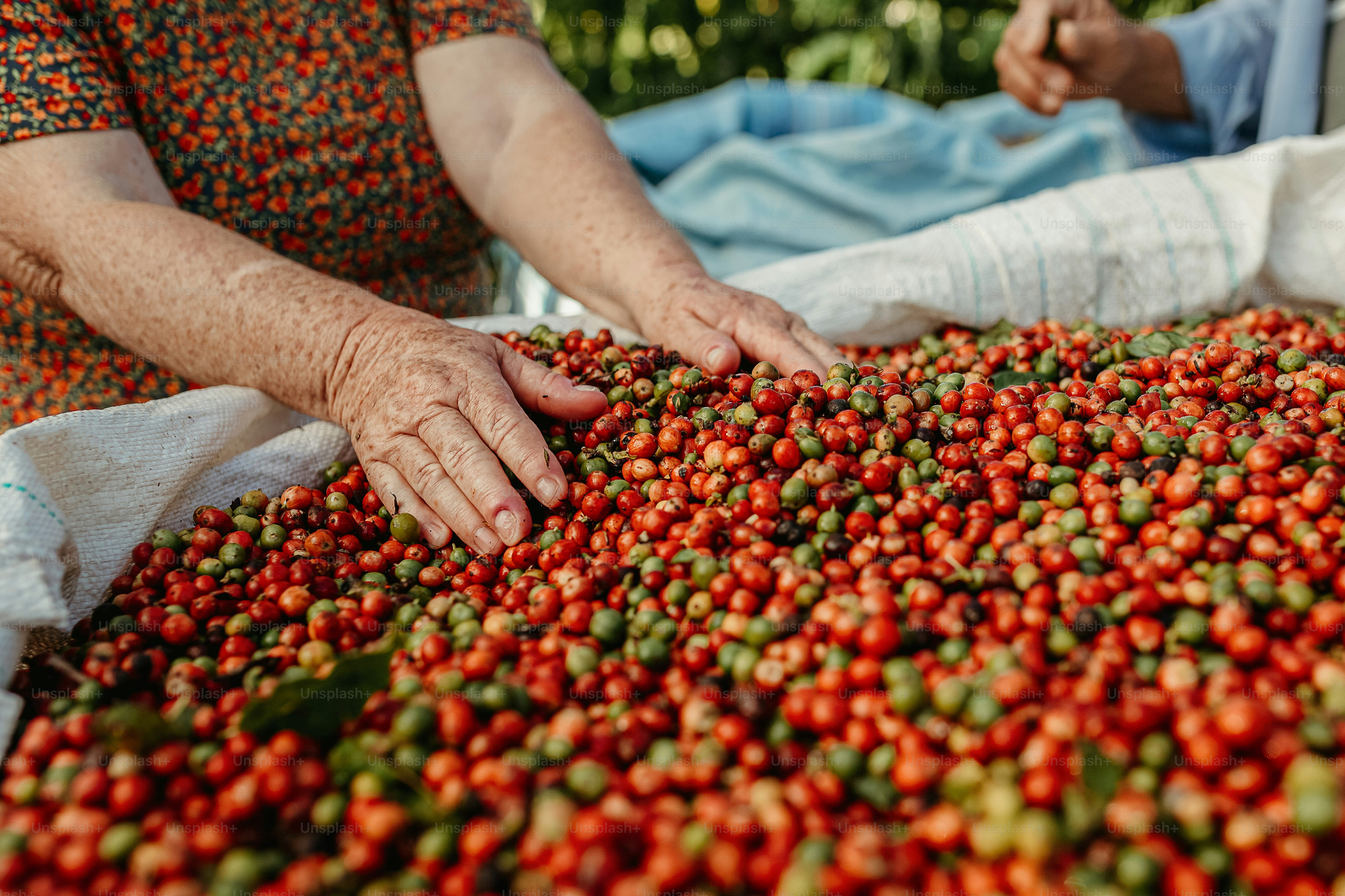 a woman holding a bunch of strawberries on top of a table