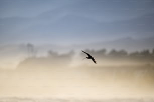 a bird flying through a foggy sky with trees in the background