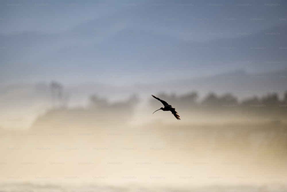 a bird flying through a foggy sky with trees in the background