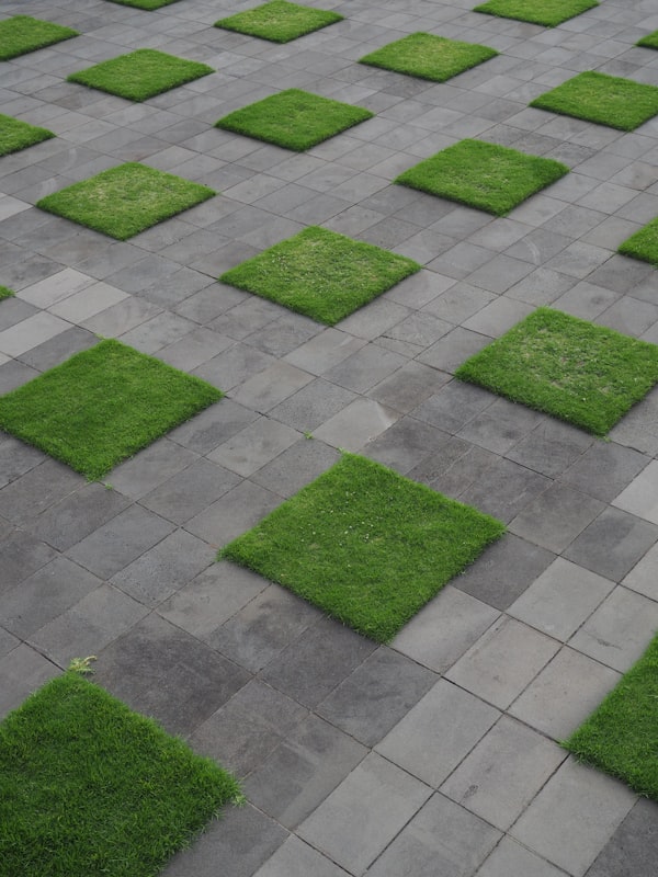 Fresh cut grass and sod on the ground