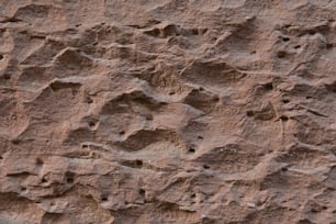 un gros plan d’un rocher avec de petits trous