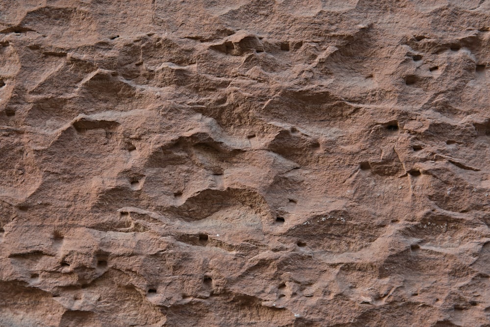 a close up of a rock with small holes in it