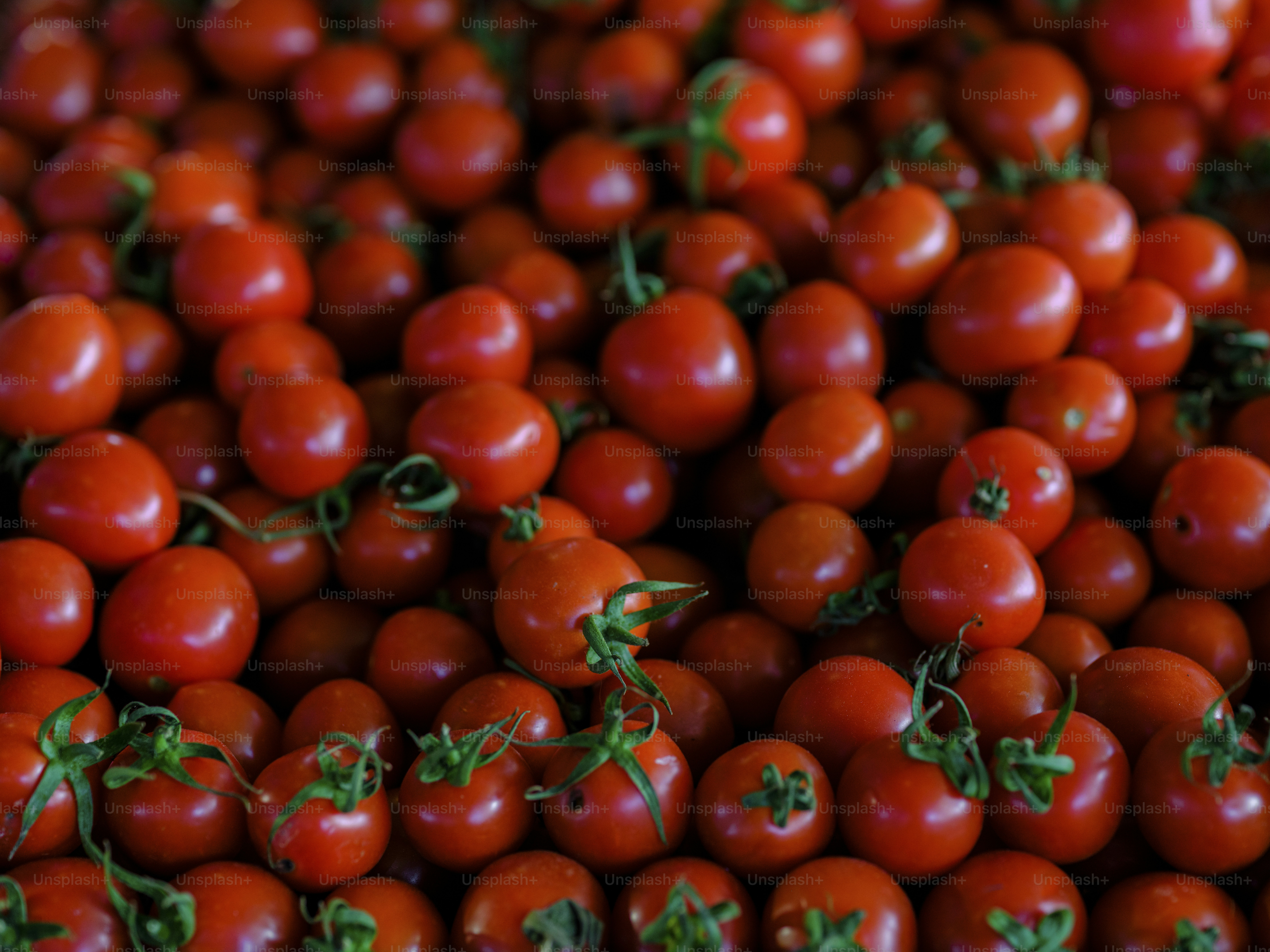 ein Haufen Tomaten mit grünen Stielen darauf