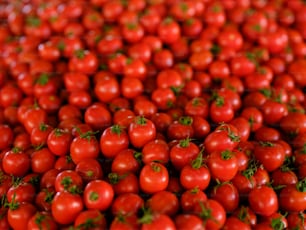 a large pile of red tomatoes sitting on top of a table