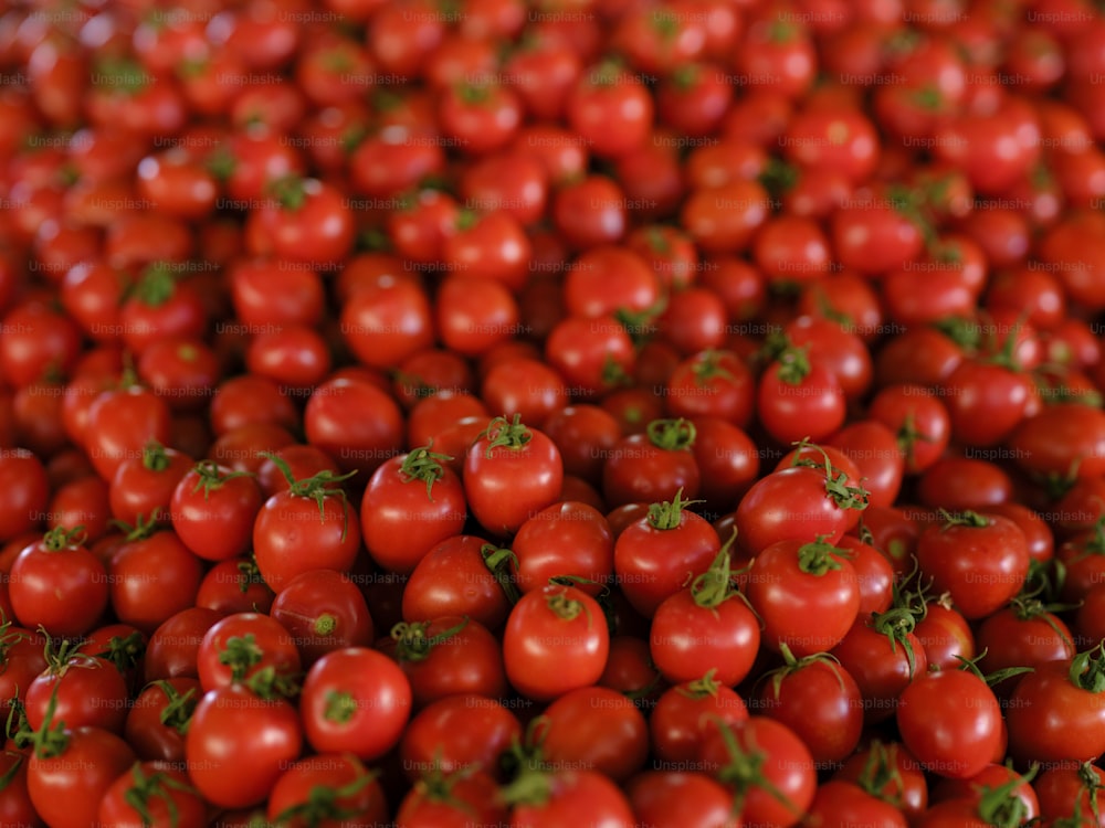 테이블 위에 빨간 토마토 더미가 놓여 있다