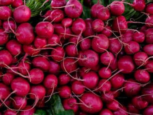 a pile of red radishes sitting on top of green leaves