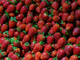 a close up of a bunch of strawberries