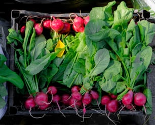 a bunch of radishes are in a box