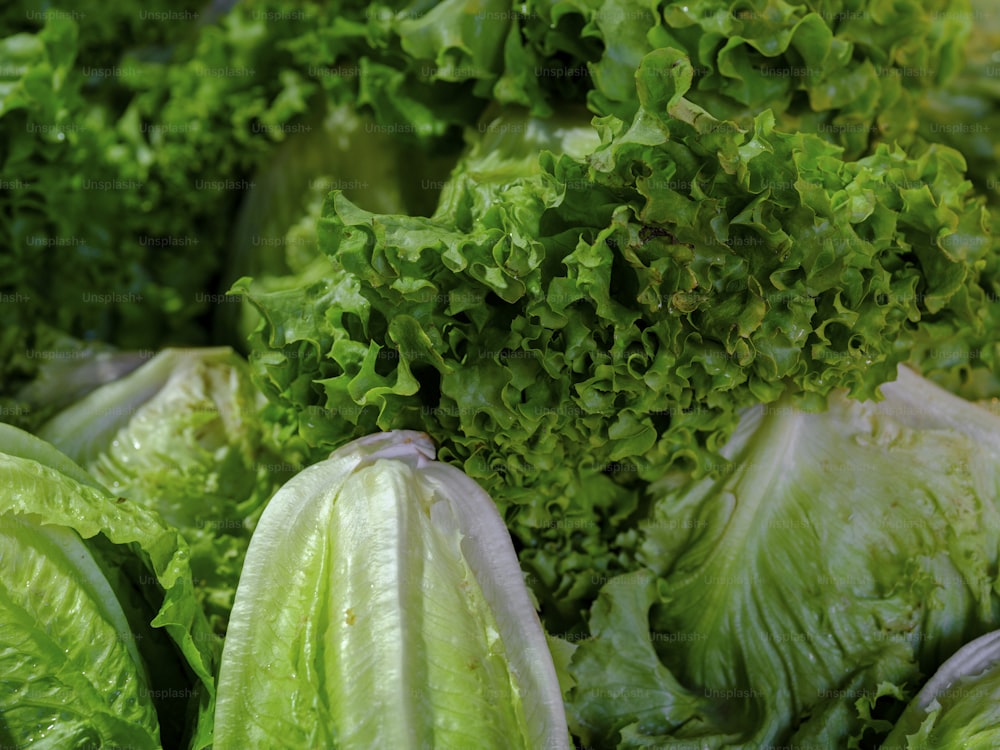 Un montón de lechuga verde sentada una al lado de la otra