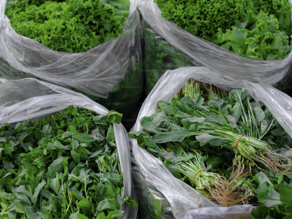 a bunch of bags filled with lots of green vegetables