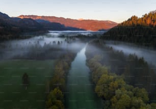 an aerial view of a river surrounded by trees