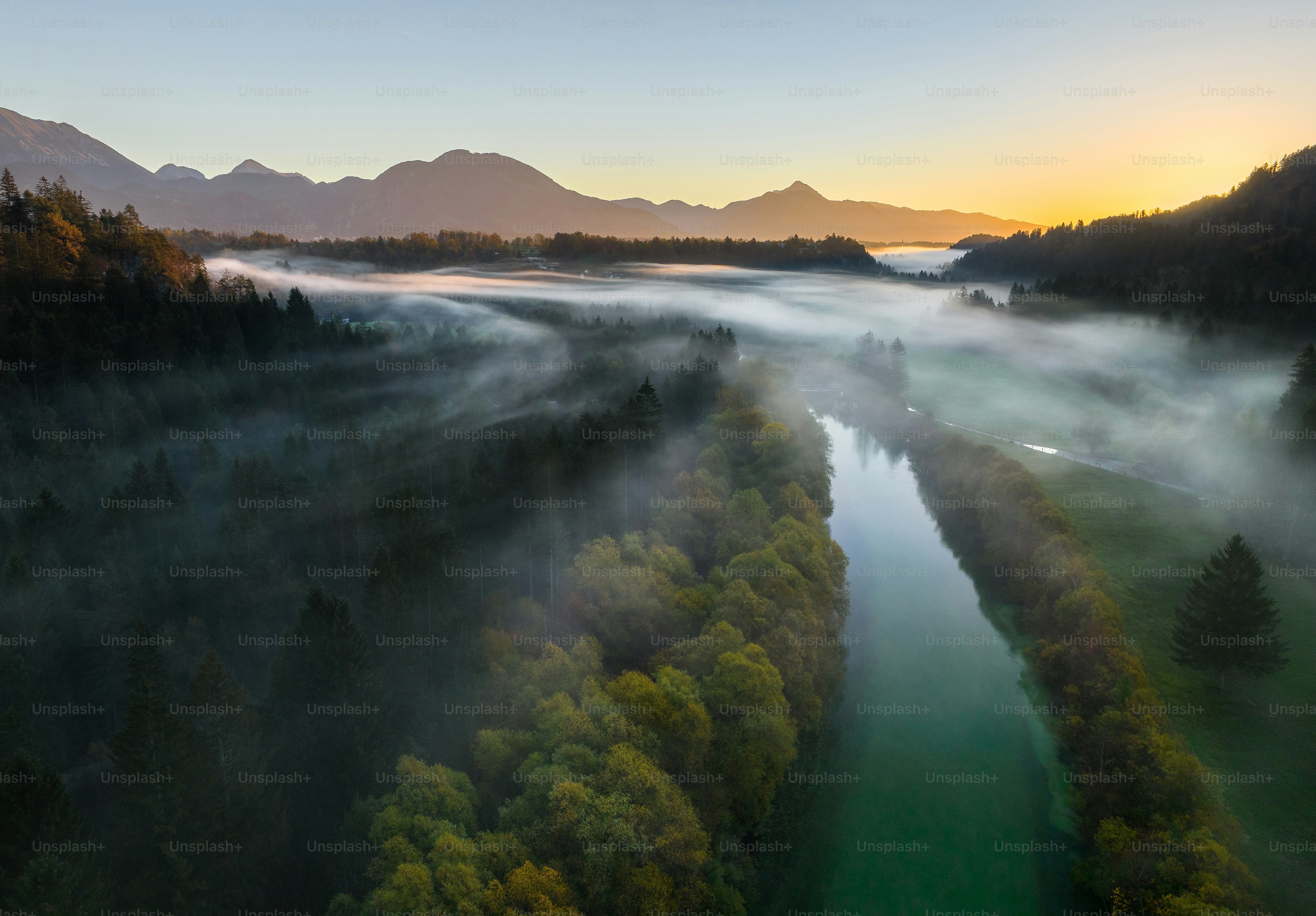 an aerial view of a river surrounded by trees