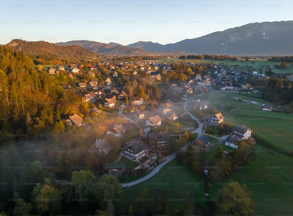 an aerial view of a town surrounded by trees